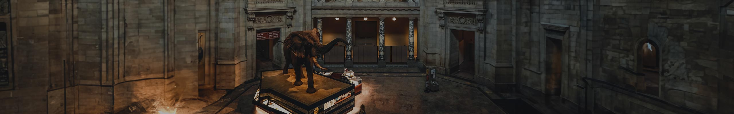 Picture of the museums and an Elephant